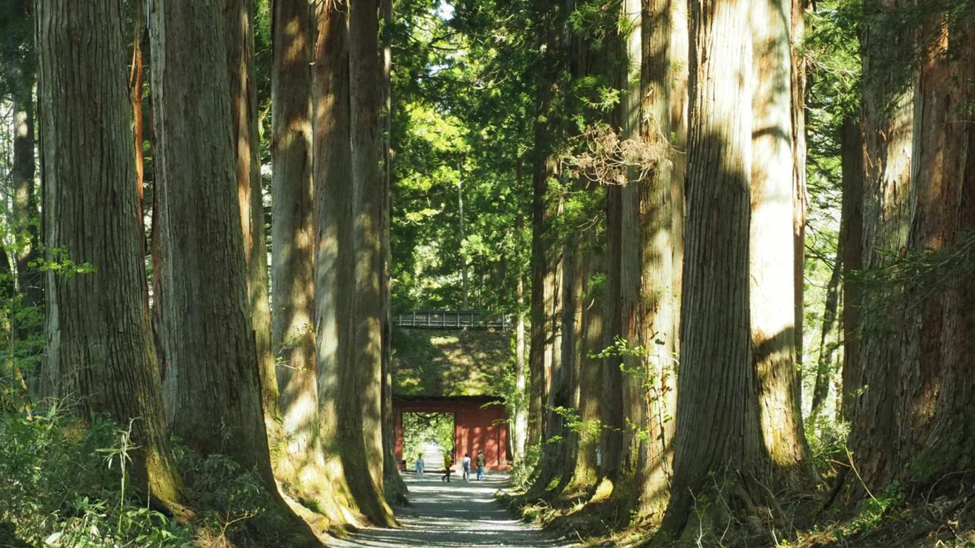 Toyoko Inn Nagano Eki Zenkoji Guchi Eksteriør bilde